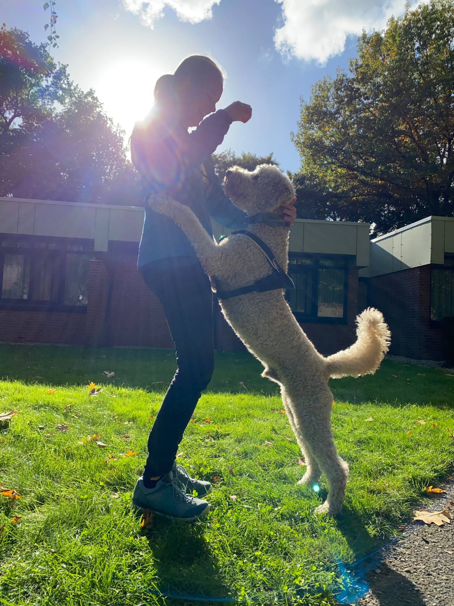 Carolien speelt met een hond tijdens een sessie in de zon
